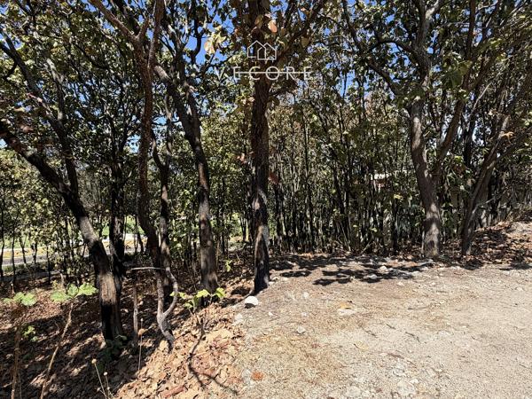 TERRENO EN VENTA EN EL CIELO COUNTRY CLUB, TLAJOMULCO DE ZUÑIGA