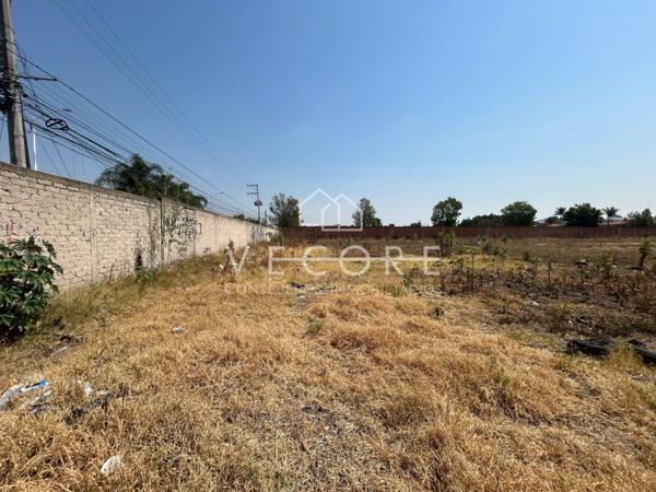 TERRENO EN RENTA EN EL CAMPANARIO, TLAJOMULCO DE ZUÑIGA TERRENO EN RENTA EN EL CAMPANARIO, TLAJOMULCO DE ZUÑIGA