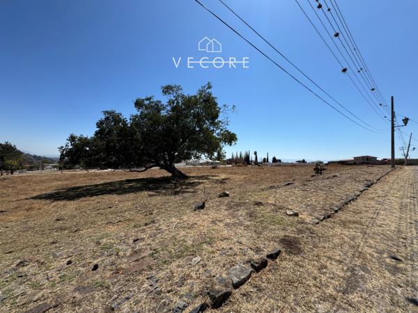 TERRENO EN VENTA EN FRACCIONAMIENTO BRISAS DE CHAPALA, CHAPALA, JALISCO