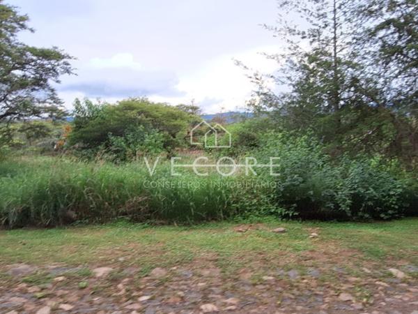 TERRENO EN VENTA EN ATEMAJAC DE BRIZUELA, TAPALPA, JALISCO