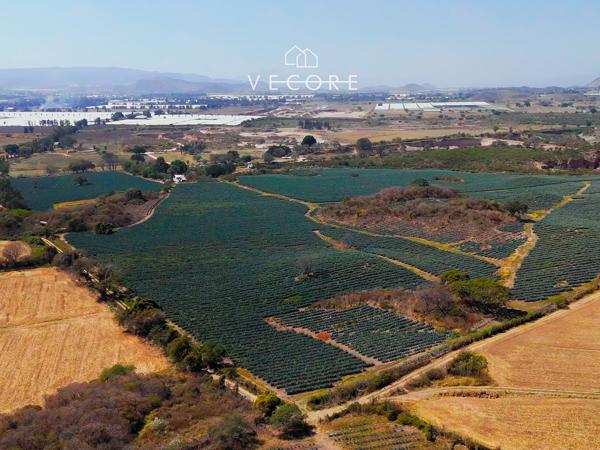 RANCHO LA GAVILANA EN VENTA, CAMINO A SAN ISIDRO MAZATEPEC, TLAJOMULCO DE ZUÑIGA RANCHO LA GAVILANA EN VENTA, CAMINO A SAN ISIDRO MAZATEPEC, TLAJOMULCO DE ZUÑIGA