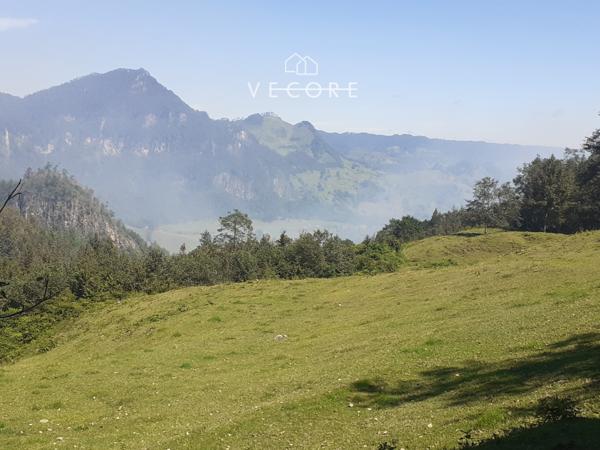 TERRENO EN VENTA, TENANGO DE DORIA, HIDALGO