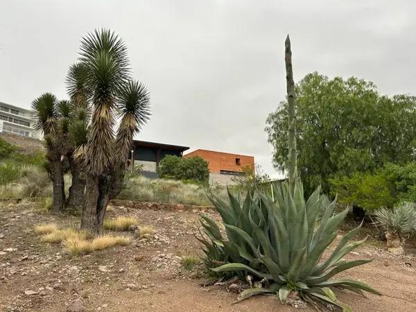 Terreno en venta en Club de Golf la Loma, San Luis Potosí, San Luis Potosí