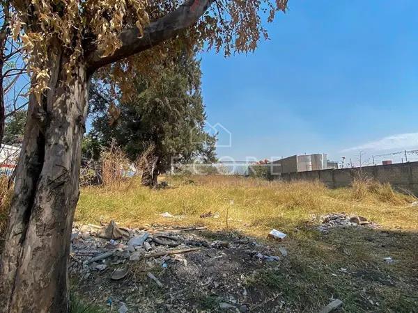 TERRENO EN VENTA EN PROL. GOBERNADOR CURIEL, SAN PEDRO TLAQUEPAQUE