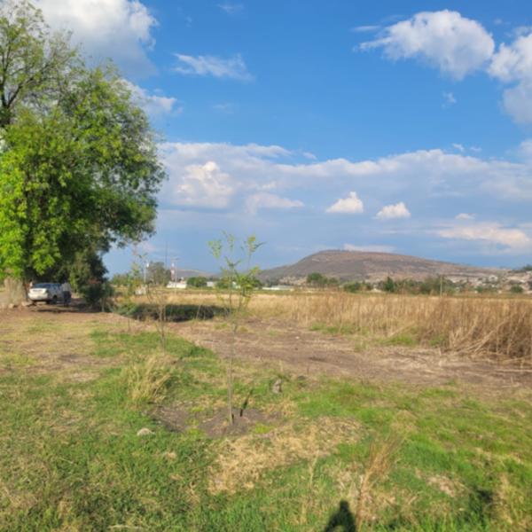 5 HECTÁREAS EN VENTA RUMBO AL AEROPUERTO EN URUETARO, TARIMBARO, MICHOACÁN