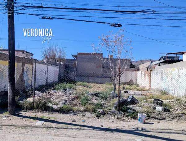TERRENO EN RENTA – COLONIA ANÁHUAC