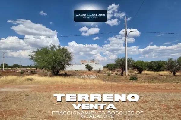 TERRENO VENTA FRACCIONAMIENTO BOSQUES DE GUADALUPE