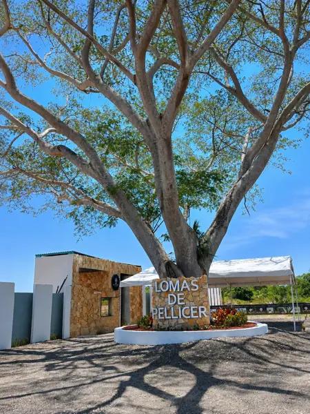 Lotes en privada en Lomas de Pellicer $445,000 Lotes en privada en Lomas de Pellicer $445,000