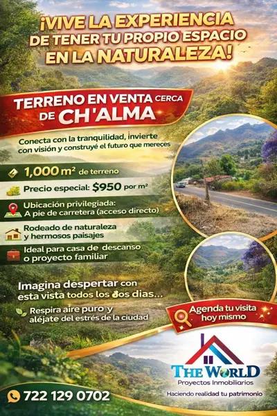 TERRENO EN CHALMA