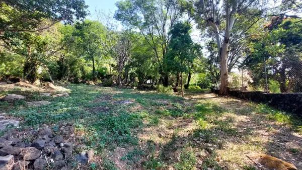 Venta de LOTE EN MALINALCO