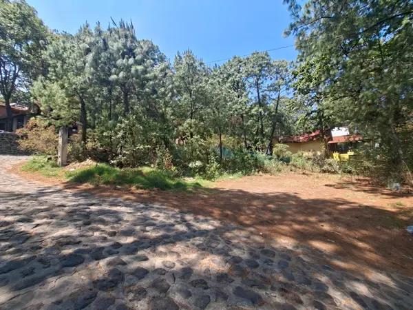 TERRENO VENTA  MAZAMITLA  IDEAL CABAÑAS