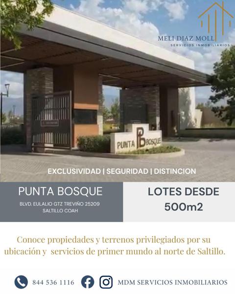 Terreno en venta en Punta Bosque, Saltillo, Coahuila de Zaragoza