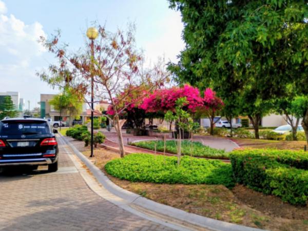 TERRENO EN VENTA LAS PLAZAS