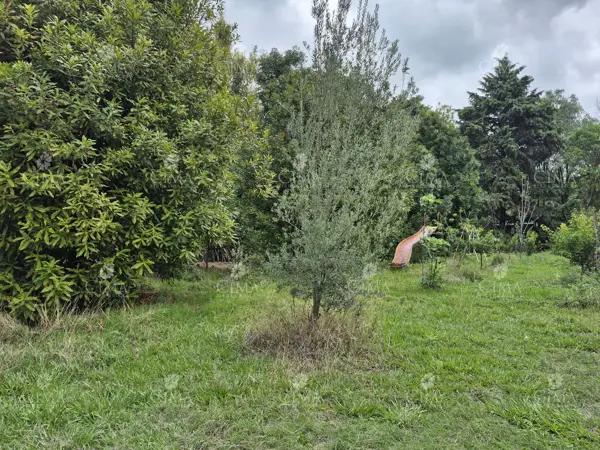 Terreno en Venta en Santa María Ahuacatitlán - T75