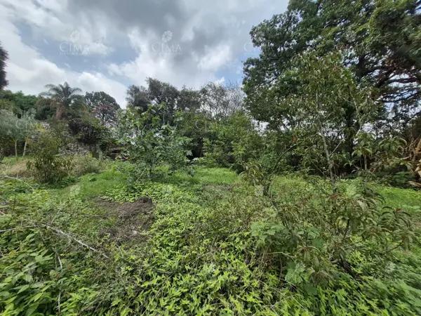 Terreno en Venta en Santa María Ahuacatitlán - T77