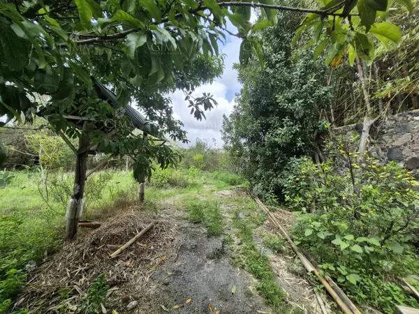 Terreno en Venta en Santa María Ahuacatitlán - T78
