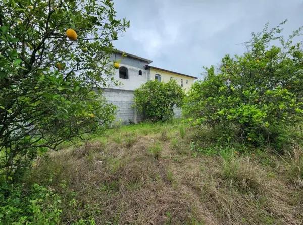 Terreno en Las Raíces, Allende Nuevo León