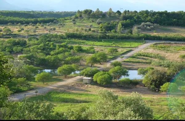 TERRENOS EN VENTA, CANTERA REAL MONTEMORELOS