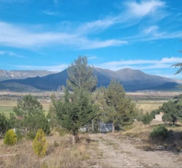 TERRENO CAMPESTRE EN LOS ANDES, ARTEAGA COAHUILA TERRENO CAMPESTRE EN LOS ANDES, ARTEAGA COAHUILA