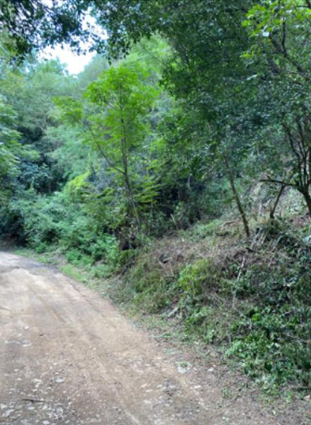 TERRENO EN VENTA, EN SANTIAGO
