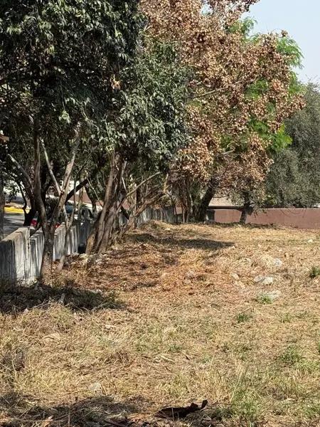 TERRENO EN VENTA, COLONIAL DE LA SIERRA