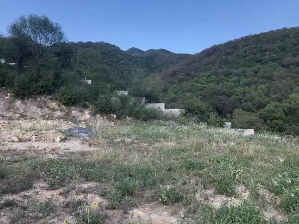 TERRENO EN VENTA, LOS RODRIGUEZ