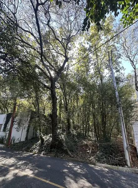 TERRENO EN VENTA  BOSQUES DE SAN ANGEL, PALMILLAS