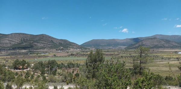 TERRENO CAMPESTRE EN LOS ANDES, ARTEAGA COAHUILA. TERRENO CAMPESTRE EN LOS ANDES, ARTEAGA COAHUILA.