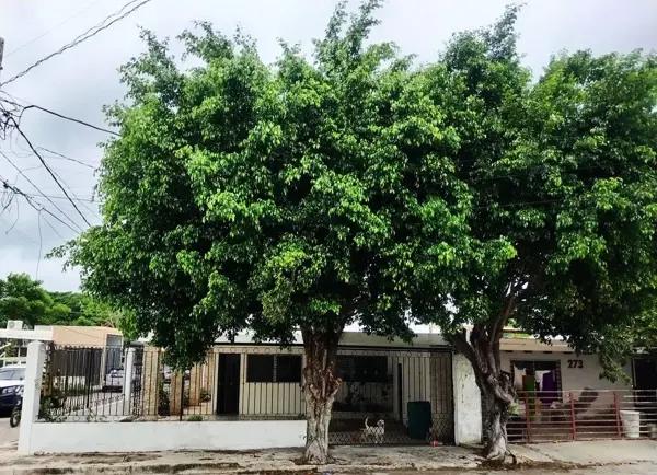 Casa de una planta en esquina en venta en Cordemex Casa de una planta en esquina en venta en Cordemex
