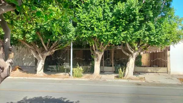 CASA DE UNA PLANTA PARA REMODELAR EN TORREON JARDIN CASA DE UNA PLANTA PARA REMODELAR EN TORREON JARDIN