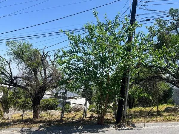 TERRENO EN VENTA LA CIMA