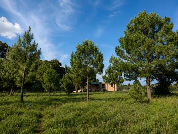 Cabaña en Venta en Amealco de Bonfil en Bosque de Pinos - Ideal Retiro, Airbnb o Inversión