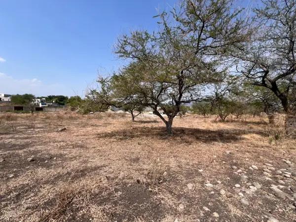 Terreno económico en área cercana a la urbanización.
