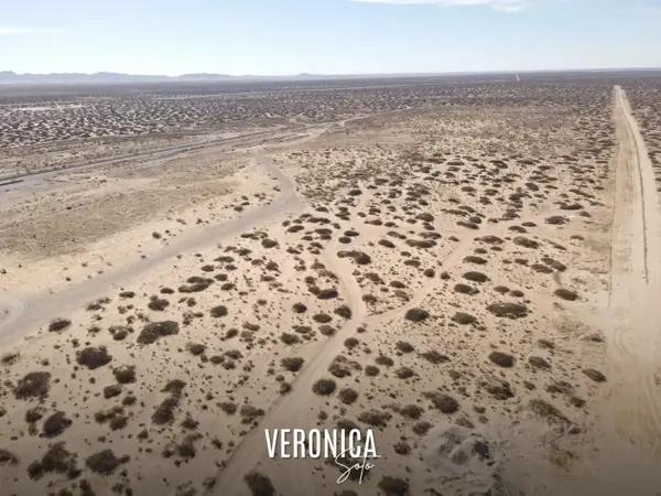 TERRENO EN VENTA | CARRETERA FEDERAL 45 – CD. JUÁREZ, CHIHUAHUA