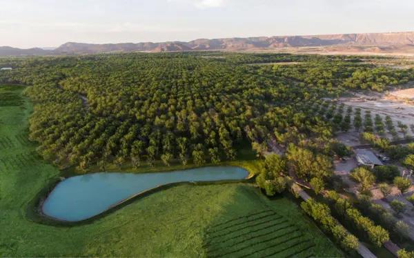 TERRENO LOTES PARRAS DE LA FUENTE COAHUILA VENTA