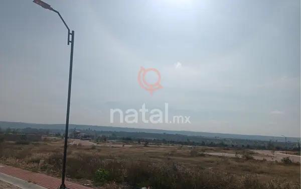 TERRENO EN VENTA cactaceas ciudad maderas lagos de moreno jalisco