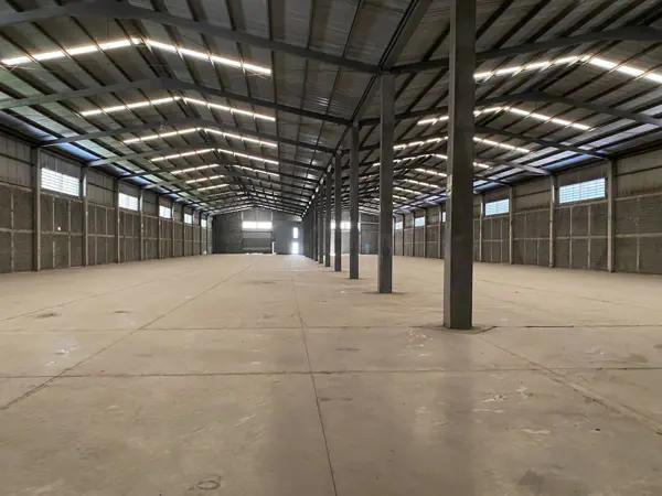 BODEGA carretera laredo SALINAS VICTORIA RENTA