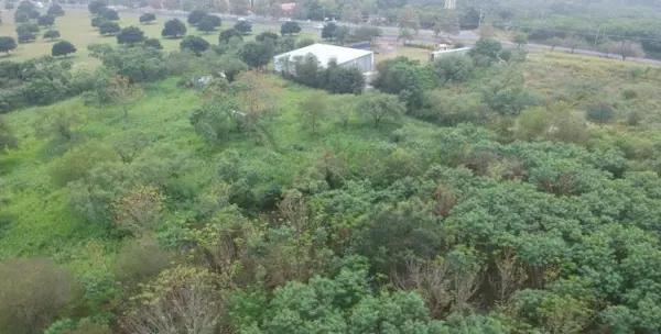 TERRENO residencial VENTA MONTEMORELOS NUEVO LEON