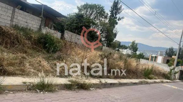 TERRENO EN VENTA La Trinidad Tepehitec TLAXCALA