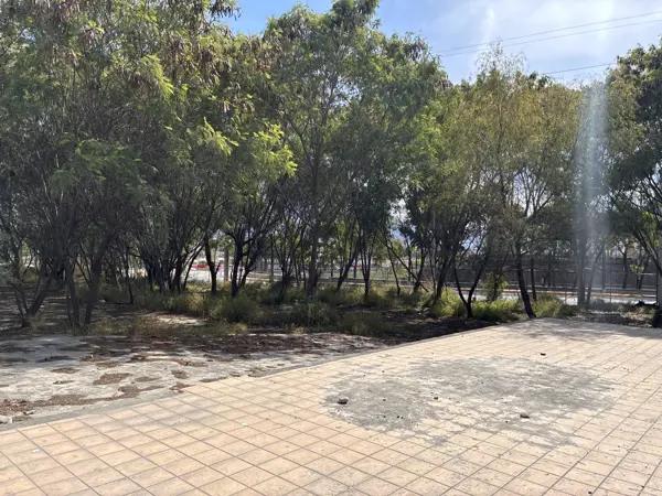 TERRENO ZONA PARQUE FUNDIDORA MONTERREY RENTA