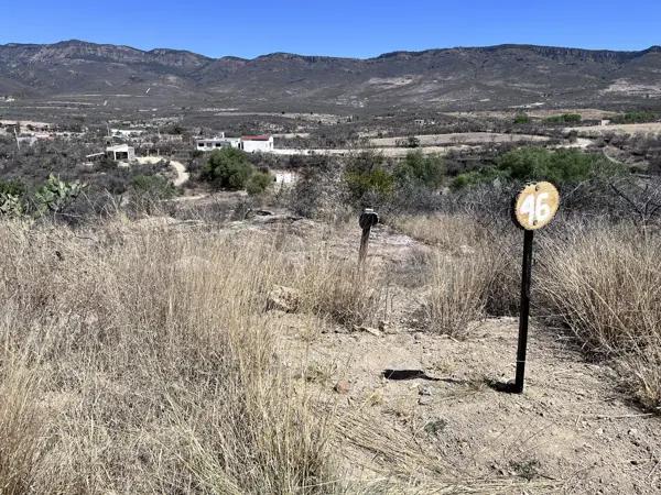 TERRENO camino a bernalejo LAGOS DE MORENO JALISCO VENTA