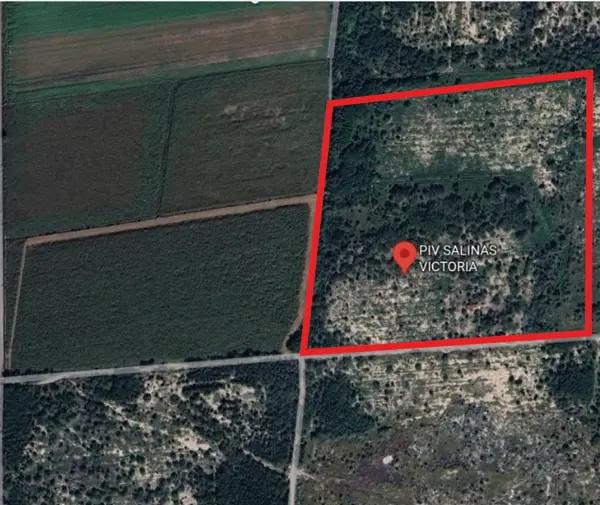 Terreno industrial en renta en Salinas Victoria