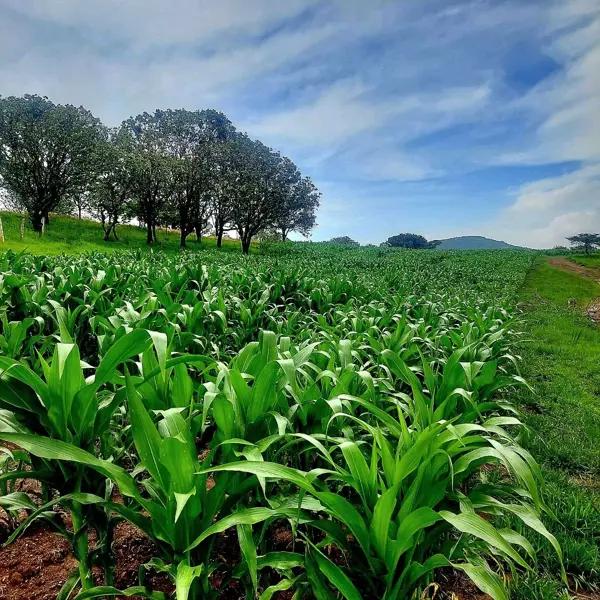 RANCHO EN VENTA EN QUILA AMECA