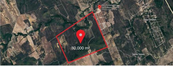 Terreno en Renta en Montemorelos Nuevo León