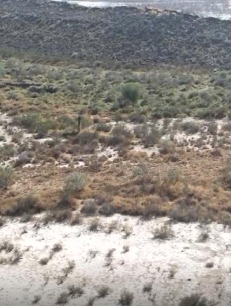 Venta de terreno de 500 HA ubicado sobre la carretera Ramos Arizpe–Monclova, pasando por Paredon