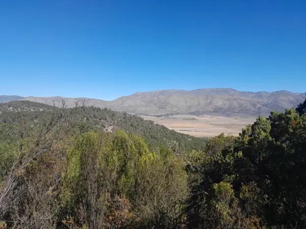 Terreno en Portal San Antonio