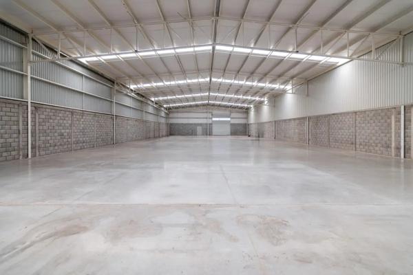 SE RENTA BODEGA SE RENTA BODEGA