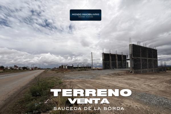 TERRENO VENTA SAUCEDA DE LA BORDA