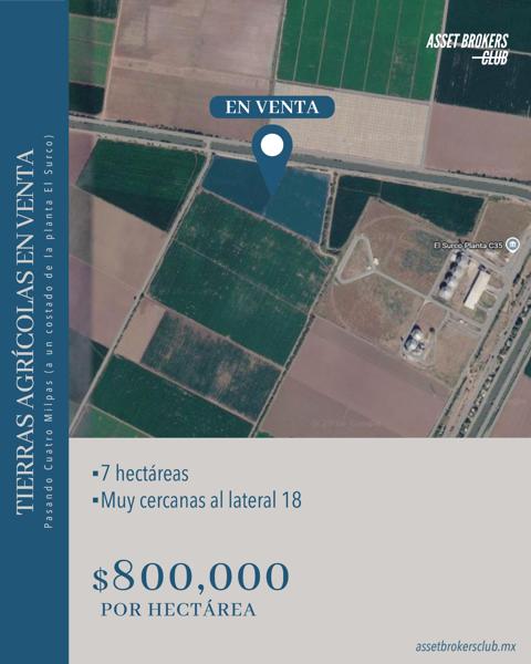 TIERRAS AGRÍCOLAS EN VENTA