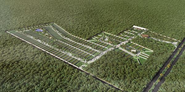 Terreno en venta LT58 al norte de Merida